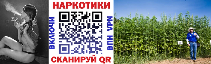 Наркошоп купить ГАШ  A PVP  МЕФ  Чегем