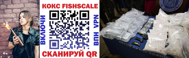 COCAIN FishScale  Купить закладки  Чегем 